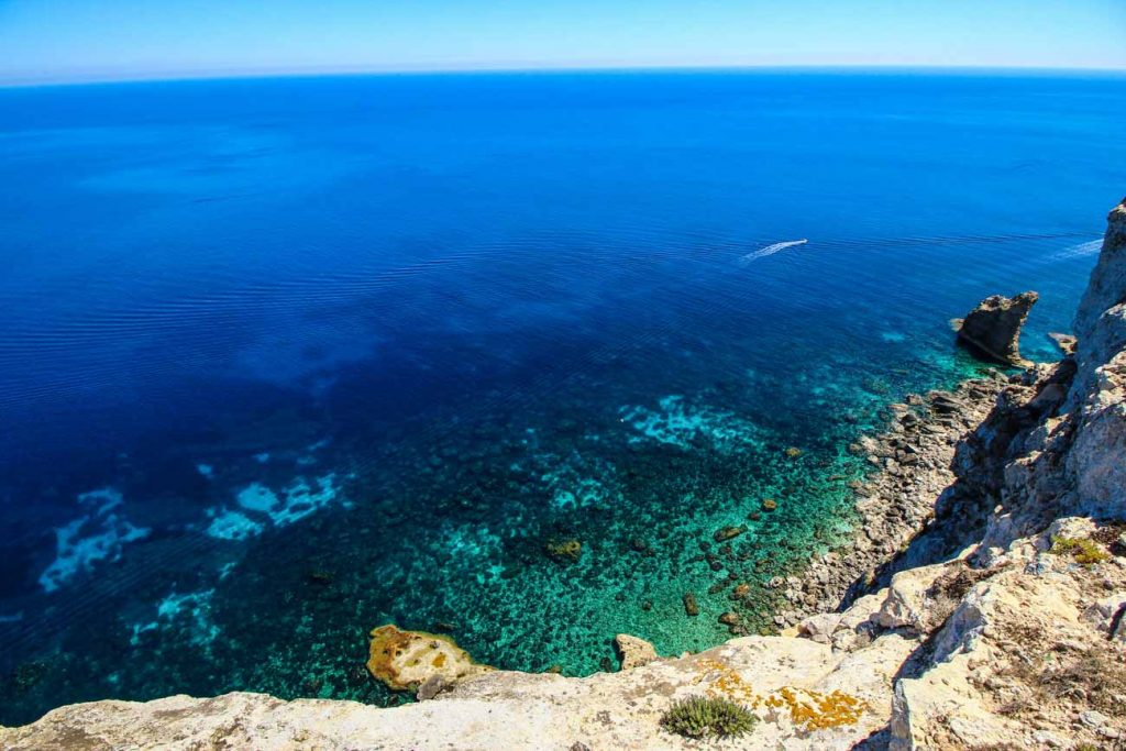 Albero Sole a Lampedusa