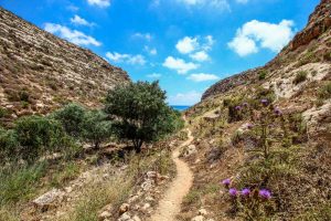 Trekking sul sentiero di Cala Pulcino a Lampedusa