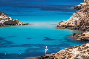 Elena Capelli: «Blu di Lampedusa»