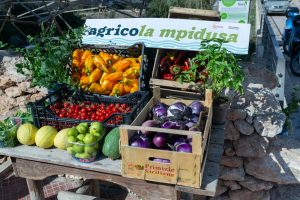 Agricola Mpidusa - Società Cooperativa sociale agricola di comunità