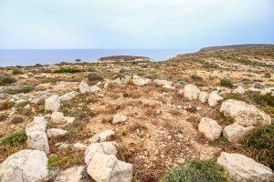 Cerchi di pietra a Lampedusa